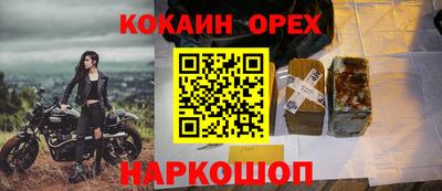 гидра Малоярославец