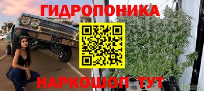 гидра Малоярославец