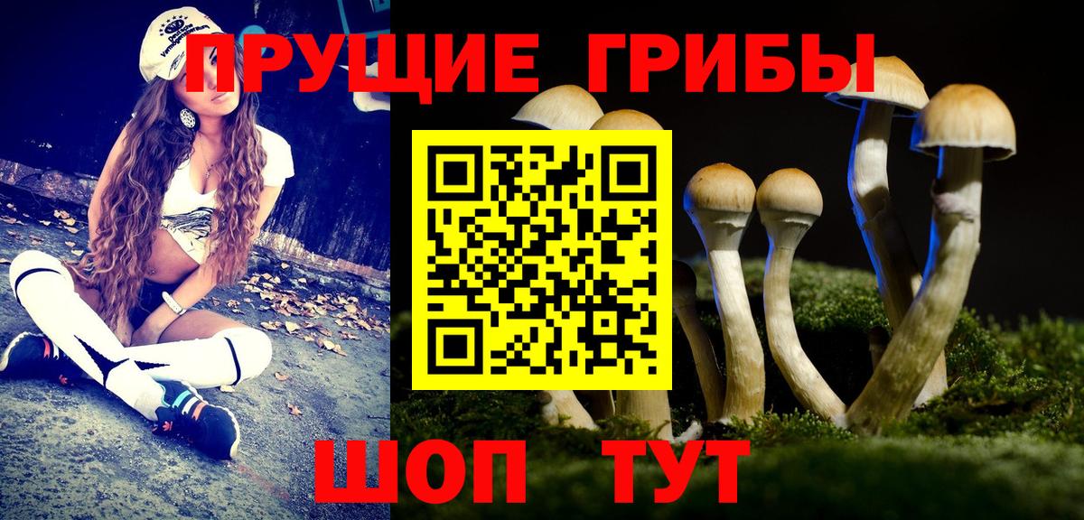 Псилоцибиновые грибы Cubensis  что такое наркотик  Вход с VPN  Ярцево  Галлюциногенные грибы Psilocybine cubensis 